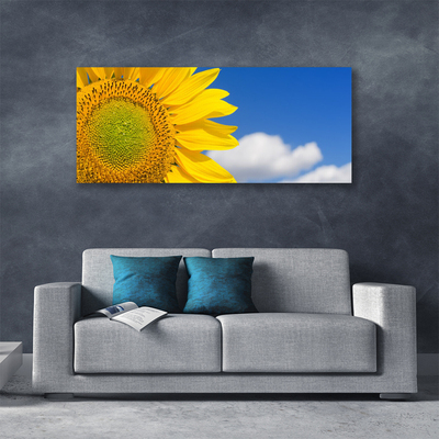 Foto quadro su tela Nuvole del cielo del girasole