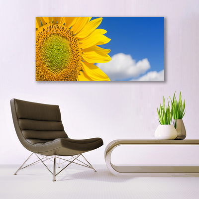 Foto quadro su tela Nuvole del cielo del girasole