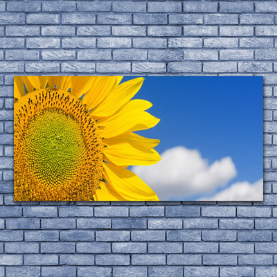 Foto quadro su tela Nuvole del cielo del girasole