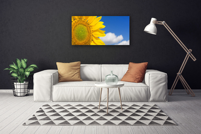 Foto quadro su tela Nuvole del cielo del girasole