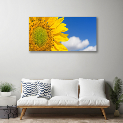 Foto quadro su tela Nuvole del cielo del girasole