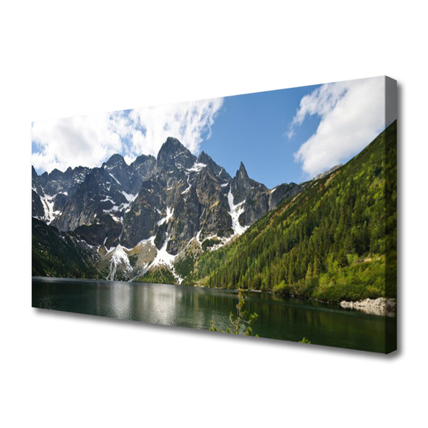 Quadro su tela Paesaggio della foresta del lago di montagna