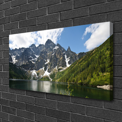 Quadro su tela Paesaggio della foresta del lago di montagna