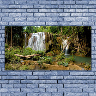 Quadro stampa su tela Cascata del fiume della foresta naturale