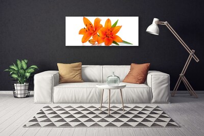 Quadro su tela Fiori di piante arancioni