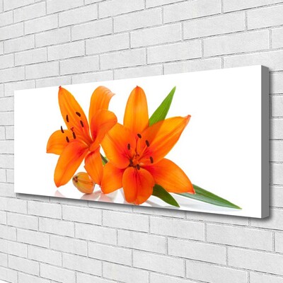 Quadro su tela Fiori di piante arancioni