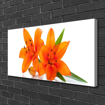 Quadro su tela Fiori di piante arancioni