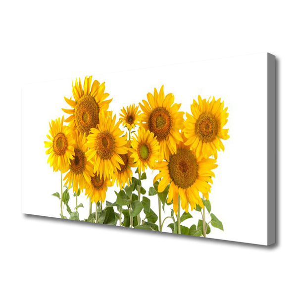 Quadro stampa su tela Pianta i girasoli