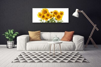 Quadro stampa su tela Pianta i girasoli