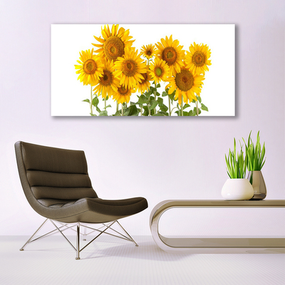 Quadro stampa su tela Pianta i girasoli