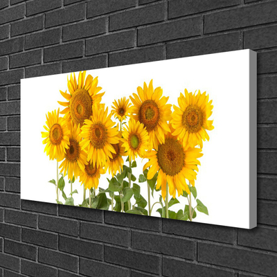 Quadro stampa su tela Pianta i girasoli