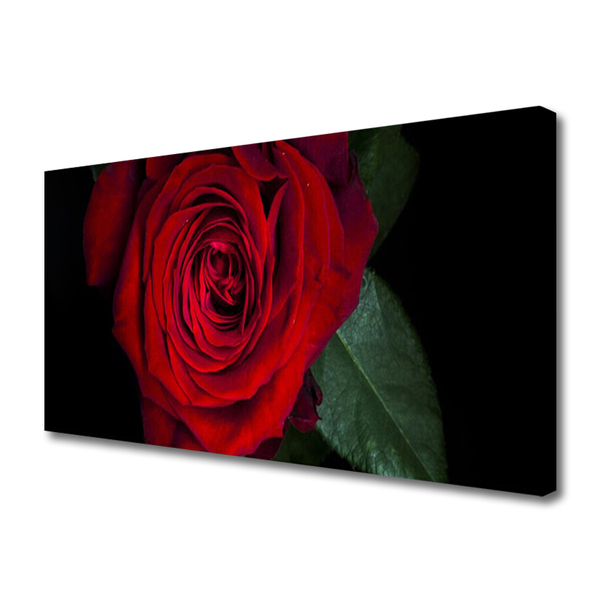 Quadro su tela Rosa Sul Muro