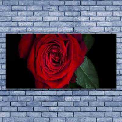 Quadro su tela Rosa Sul Muro