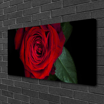 Quadro su tela Rosa Sul Muro