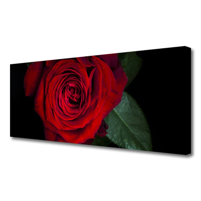 Quadro su tela Rosa Sul Muro