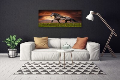 Quadro su tela Animali del prato del cavallo nero