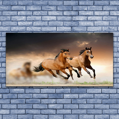 Stampa quadro su tela Animali cavalli