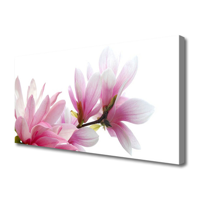 Foto quadro su tela Fiore di magnolia