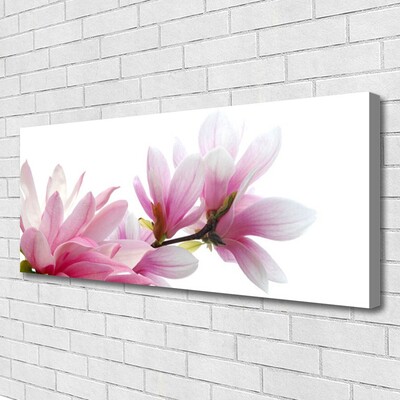Foto quadro su tela Fiore di magnolia
