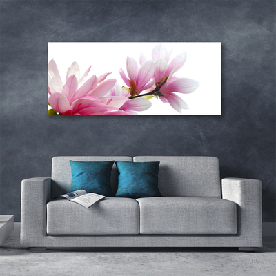 Foto quadro su tela Fiore di magnolia