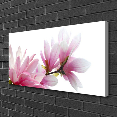 Foto quadro su tela Fiore di magnolia