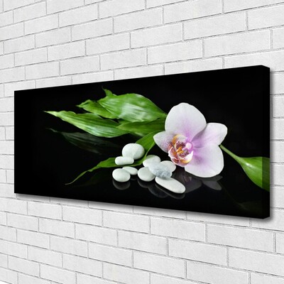 Quadro su tela Foglie di pietre di fiori