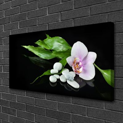 Quadro su tela Foglie di pietre di fiori