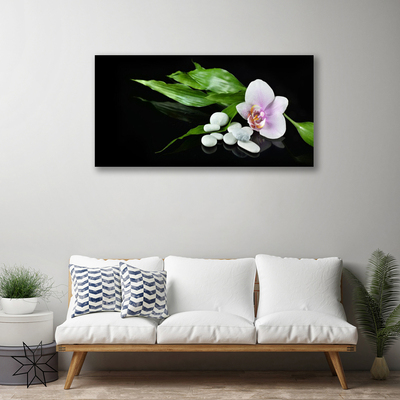 Quadro su tela Foglie di pietre di fiori