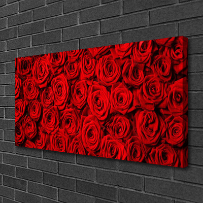 Quadro su tela Rose Sul Muro