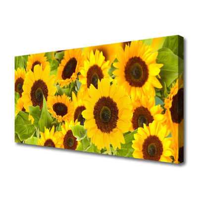 Quadro su tela Pianta i girasoli