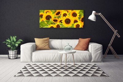 Quadro su tela Pianta i girasoli