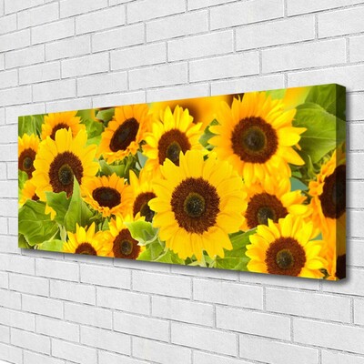 Quadro su tela Pianta i girasoli