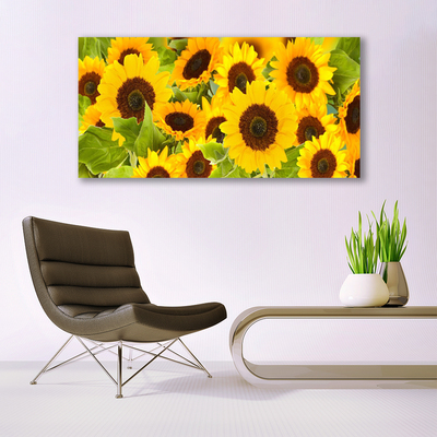 Quadro su tela Pianta i girasoli