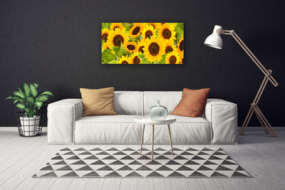 Quadro su tela Pianta i girasoli