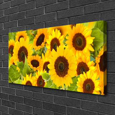 Quadro su tela Pianta i girasoli