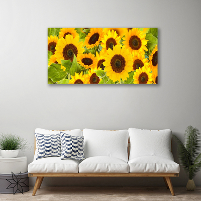 Quadro su tela Pianta i girasoli