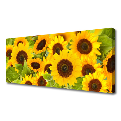 Quadro su tela Pianta i girasoli