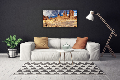 Quadro su tela Paesaggio di sabbia del deserto