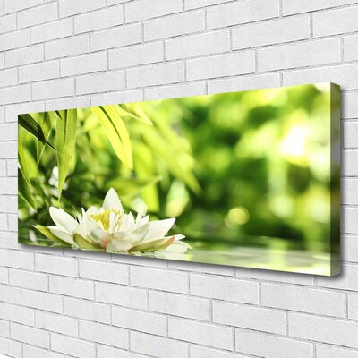 Quadro su tela Foglie di fiori