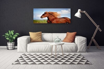 Stampa quadro su tela Animali da cavallo
