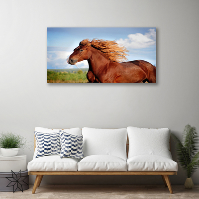 Stampa quadro su tela Animali da cavallo