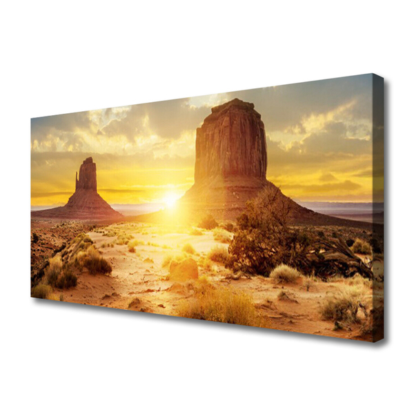 Quadro su tela Paesaggio del sole del deserto