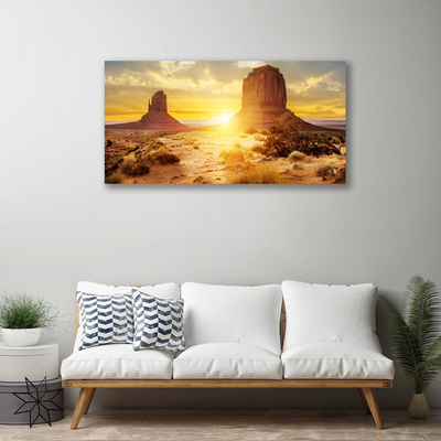 Quadro su tela Paesaggio del sole del deserto