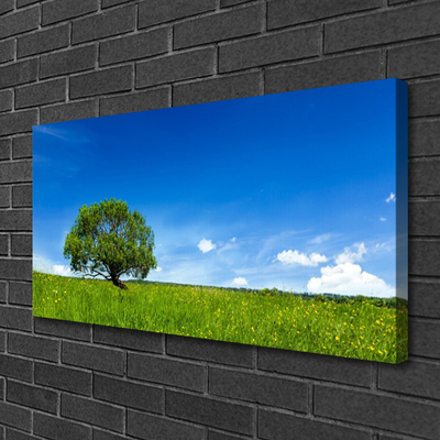 Quadro su tela Erba Albero Natura