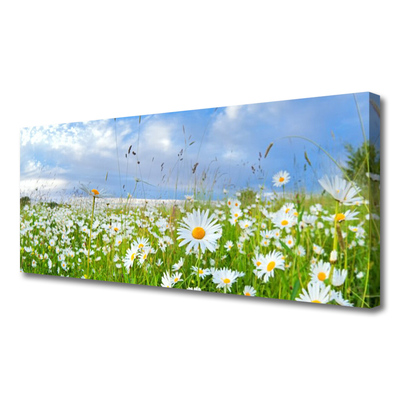 Quadro su tela Prato Daisy Natura