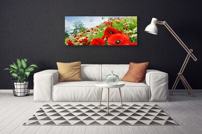 Quadro su tela Fiori della natura