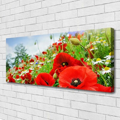 Quadro su tela Fiori della natura