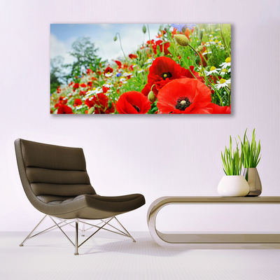 Quadro su tela Fiori della natura