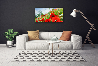 Quadro su tela Fiori della natura