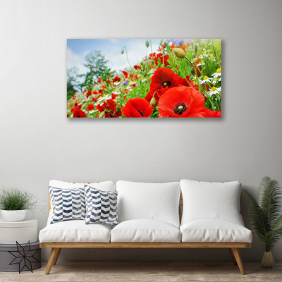 Quadro su tela Fiori della natura